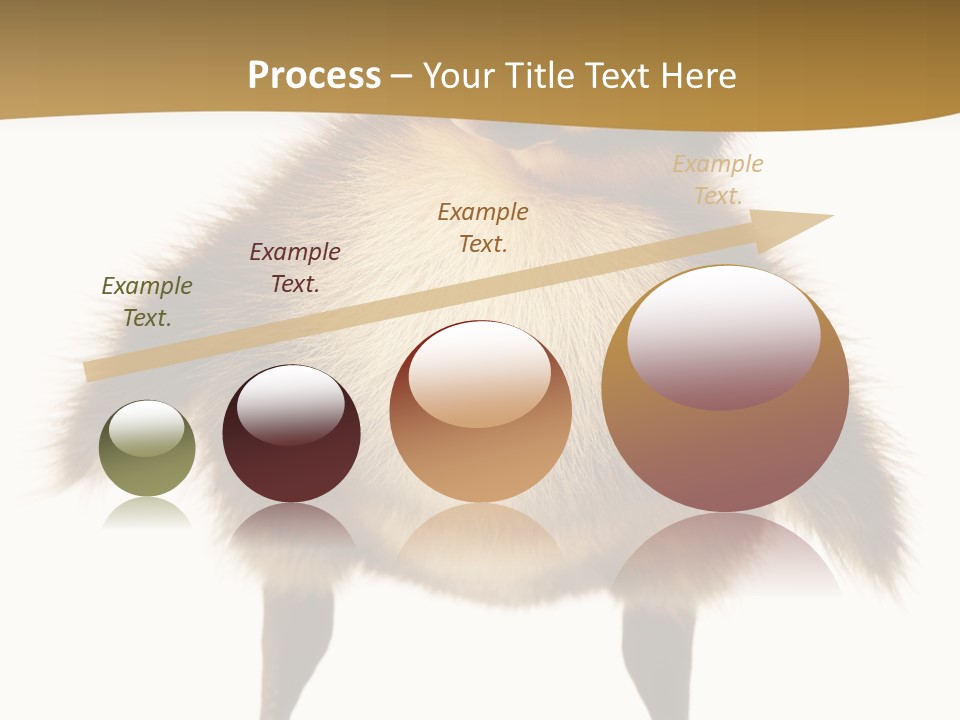 Vertebrate Duckling Closeup PowerPoint Template