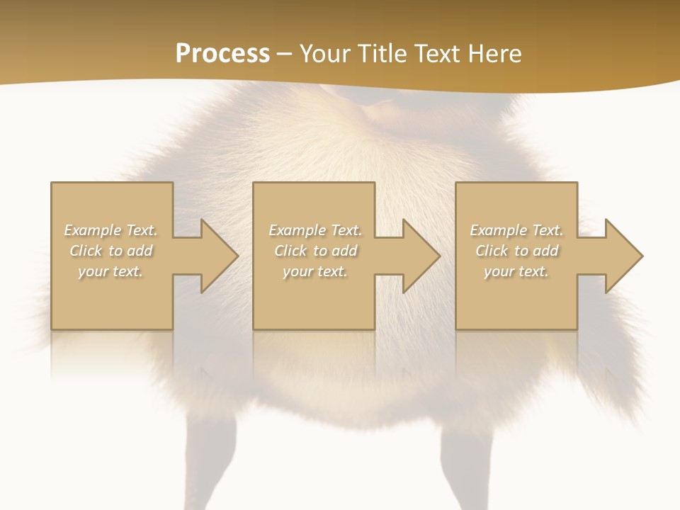 Vertebrate Duckling Closeup PowerPoint Template