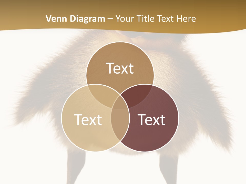 Vertebrate Duckling Closeup PowerPoint Template