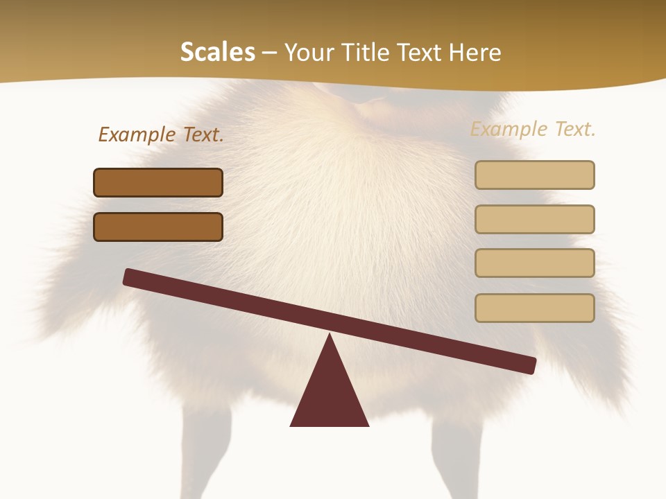 Vertebrate Duckling Closeup PowerPoint Template