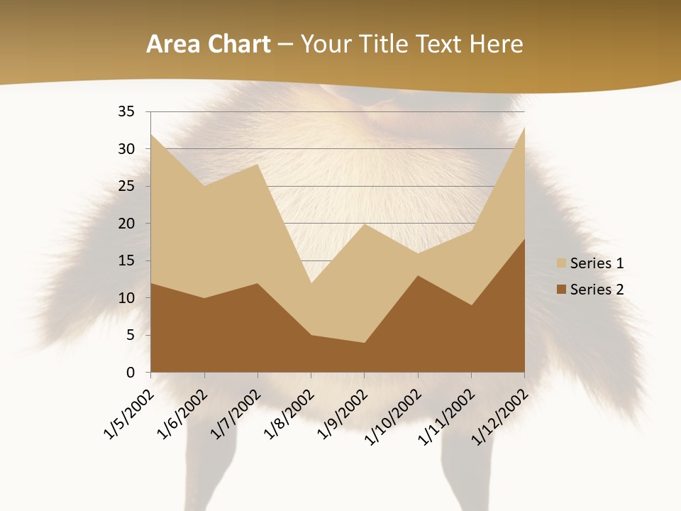 Vertebrate Duckling Closeup PowerPoint Template