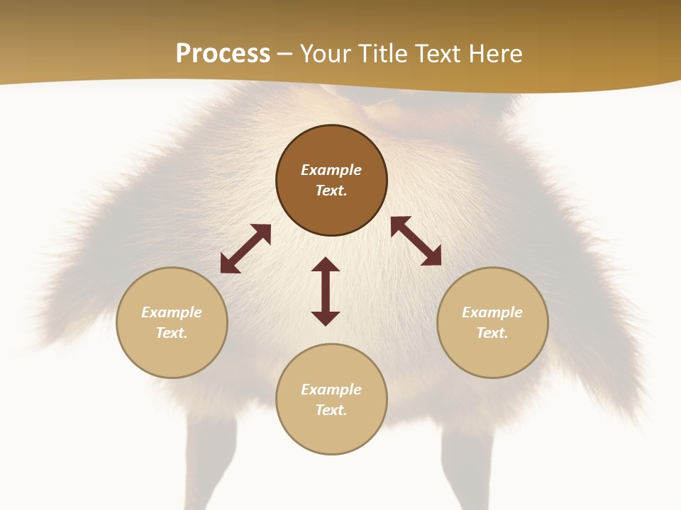 Vertebrate Duckling Closeup PowerPoint Template