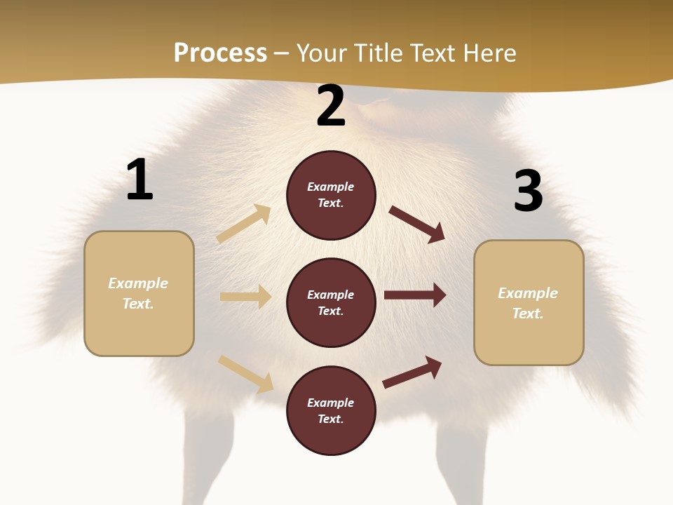 Vertebrate Duckling Closeup PowerPoint Template