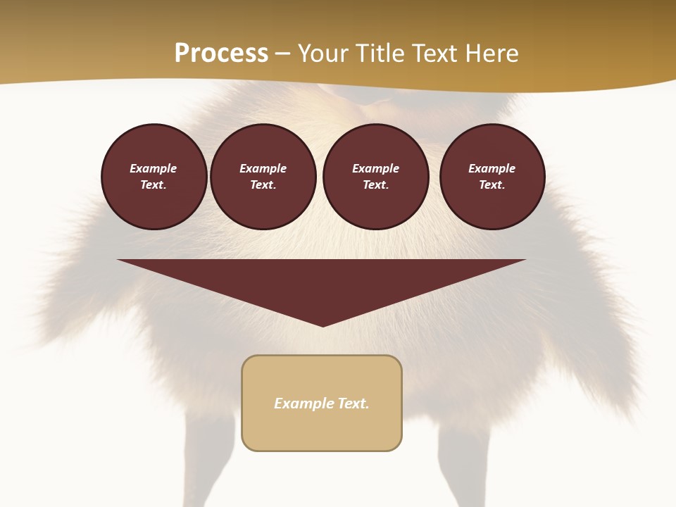 Vertebrate Duckling Closeup PowerPoint Template