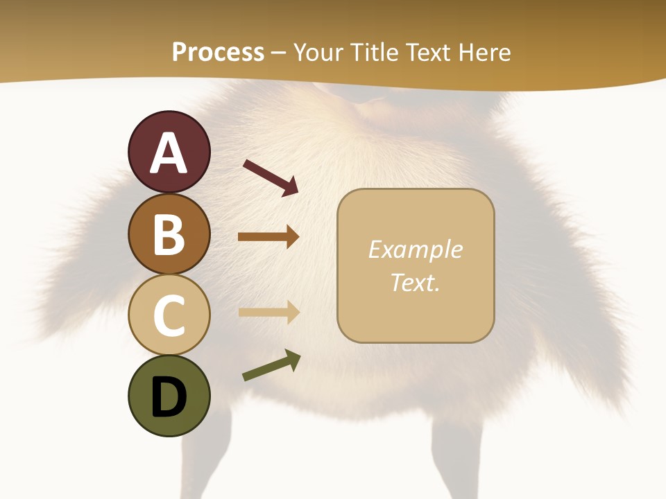 Vertebrate Duckling Closeup PowerPoint Template