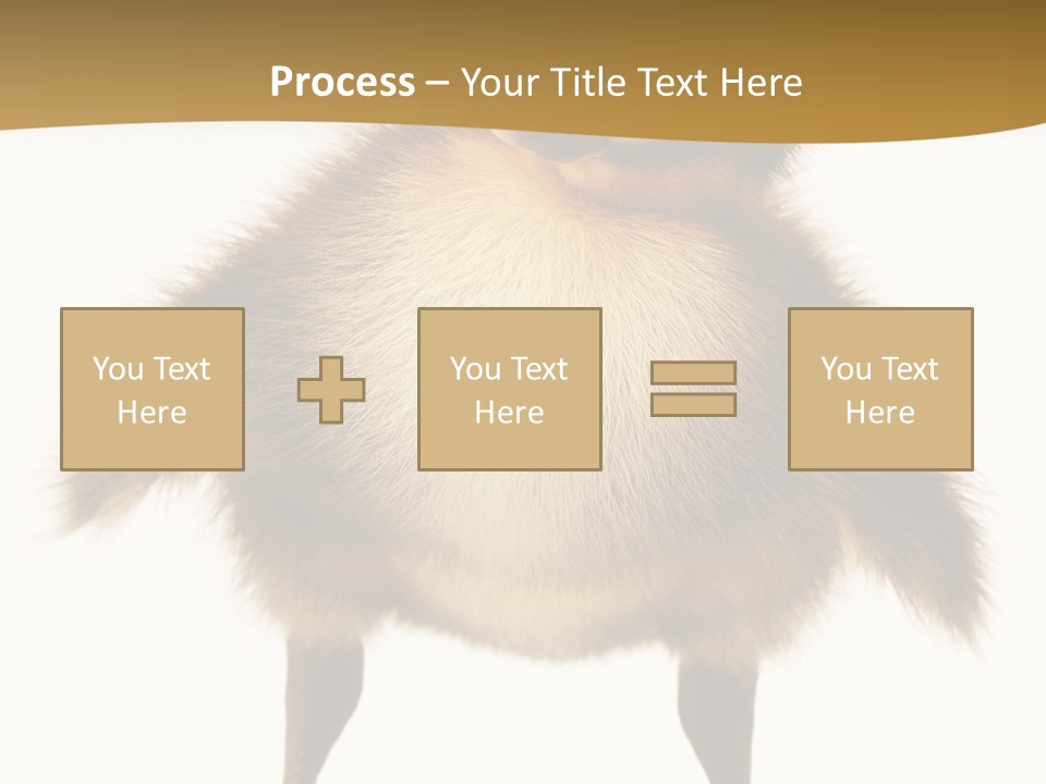Vertebrate Duckling Closeup PowerPoint Template