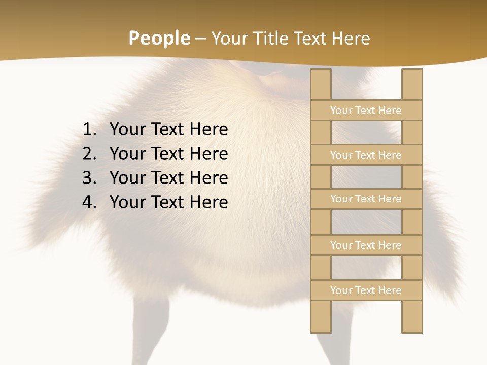 Vertebrate Duckling Closeup PowerPoint Template