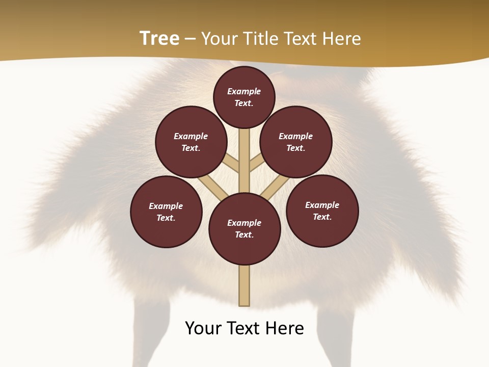 Vertebrate Duckling Closeup PowerPoint Template