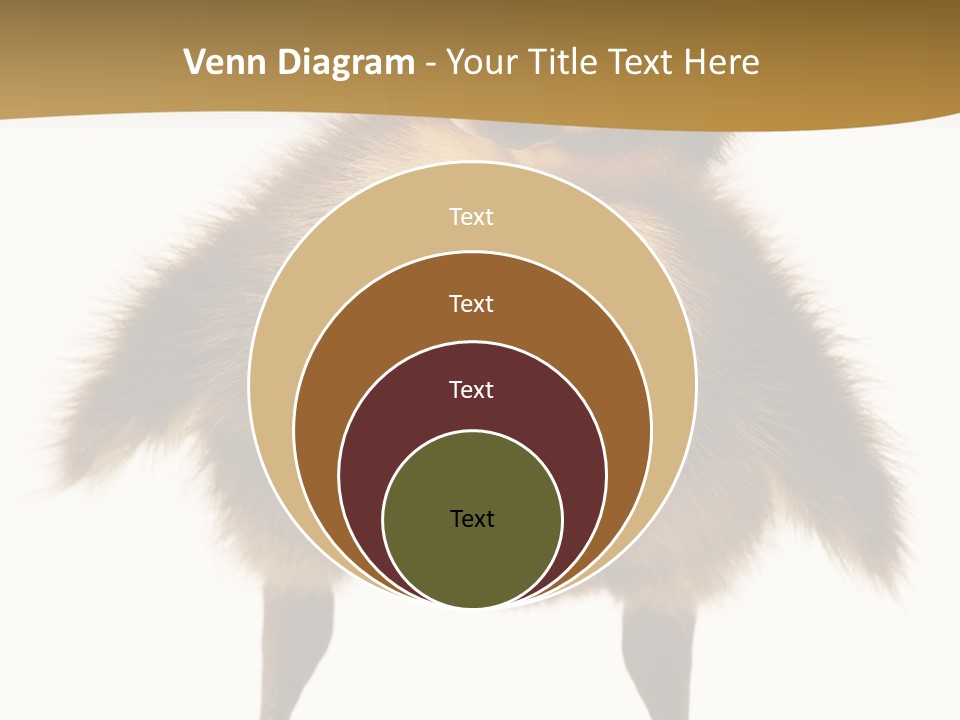 Vertebrate Duckling Closeup PowerPoint Template