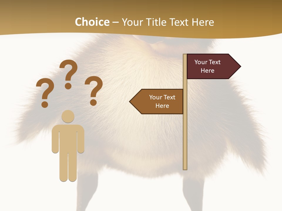 Vertebrate Duckling Closeup PowerPoint Template