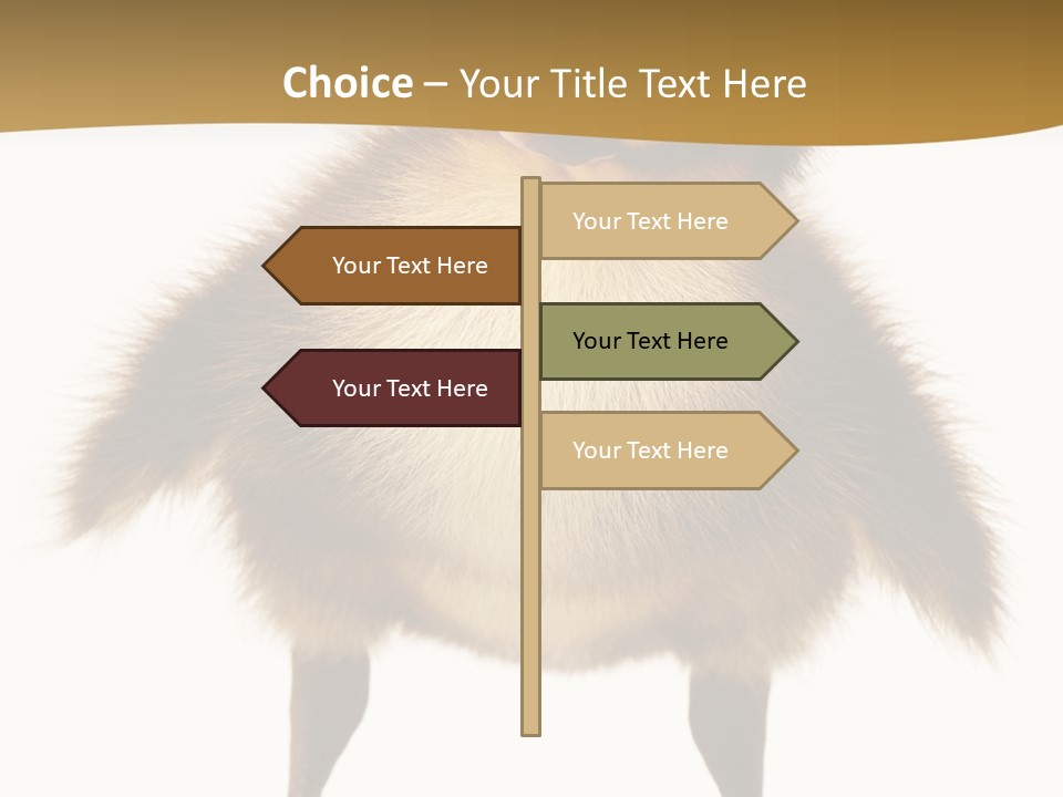 Vertebrate Duckling Closeup PowerPoint Template