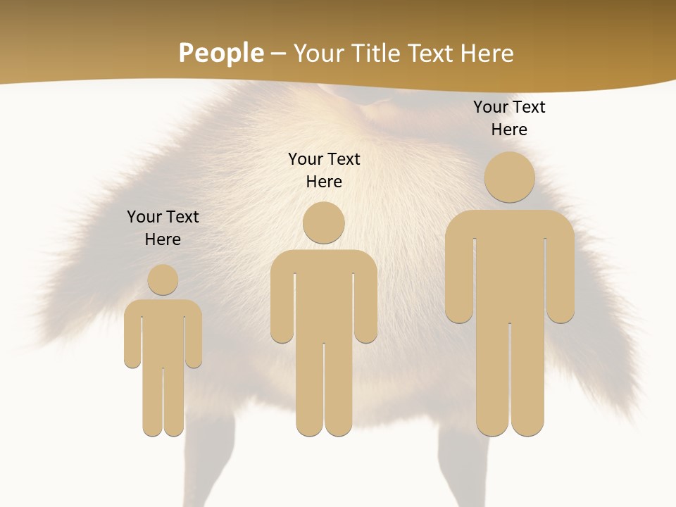 Vertebrate Duckling Closeup PowerPoint Template