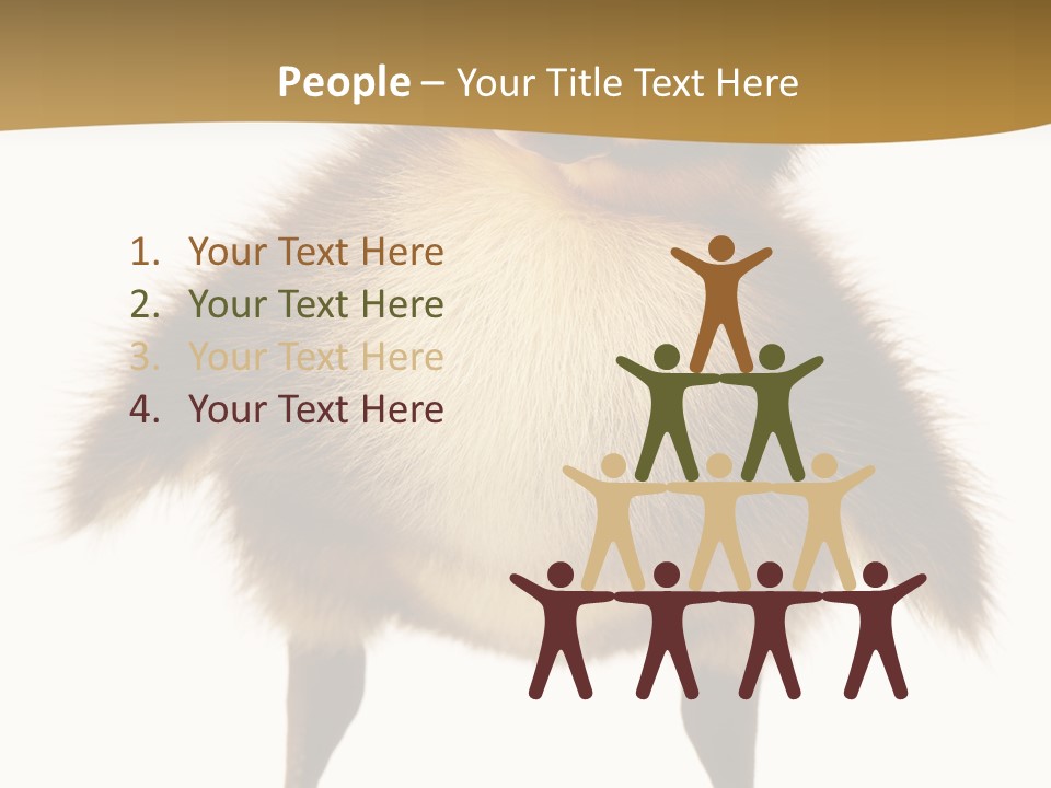 Vertebrate Duckling Closeup PowerPoint Template