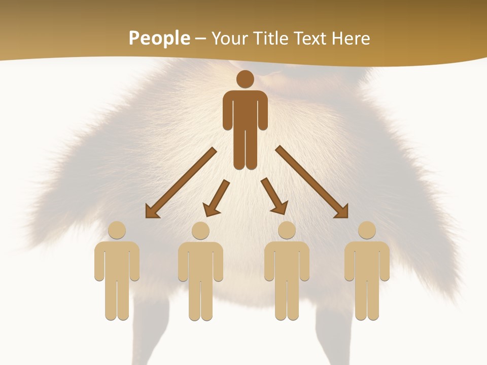 Vertebrate Duckling Closeup PowerPoint Template