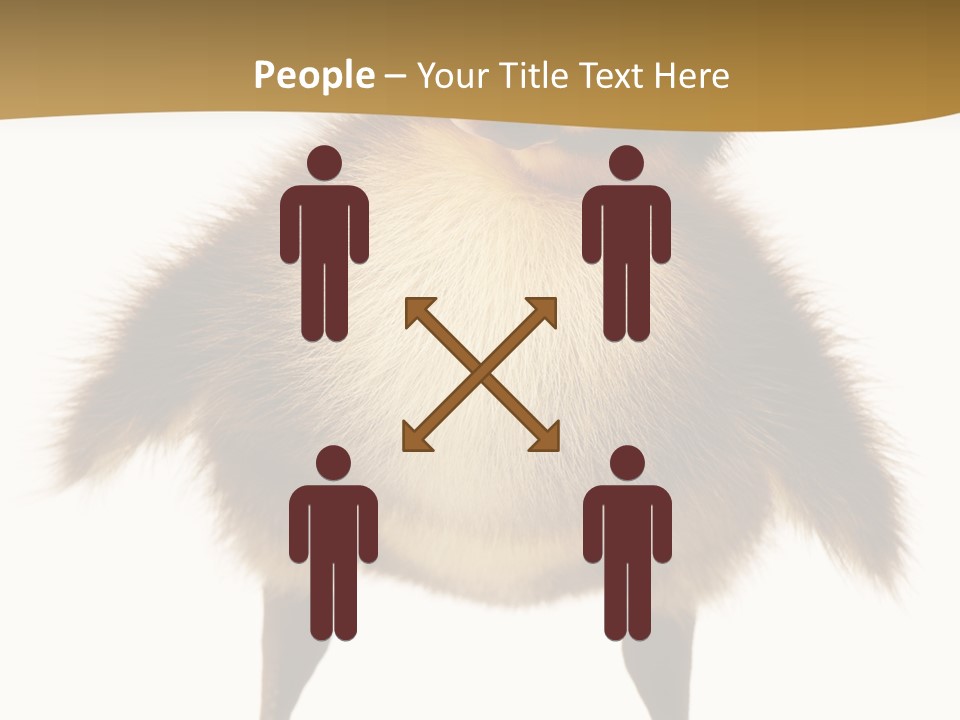 Vertebrate Duckling Closeup PowerPoint Template