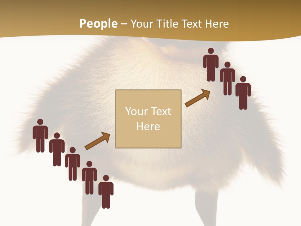 Vertebrate Duckling Closeup PowerPoint Template