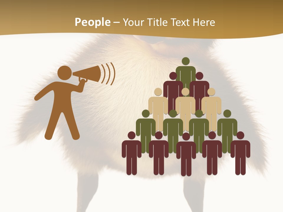 Vertebrate Duckling Closeup PowerPoint Template