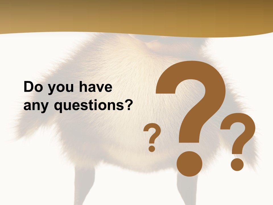 Vertebrate Duckling Closeup PowerPoint Template