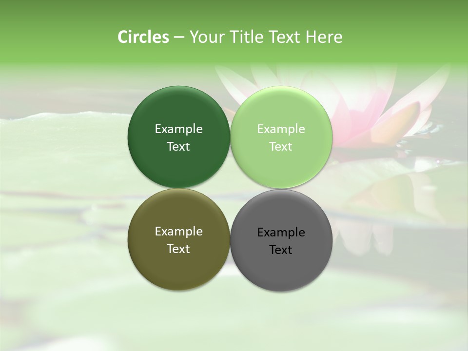 Leaf Aquatic Wallpaper PowerPoint Template