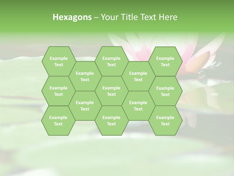 Leaf Aquatic Wallpaper PowerPoint Template