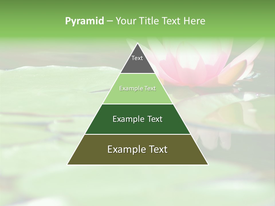 Leaf Aquatic Wallpaper PowerPoint Template