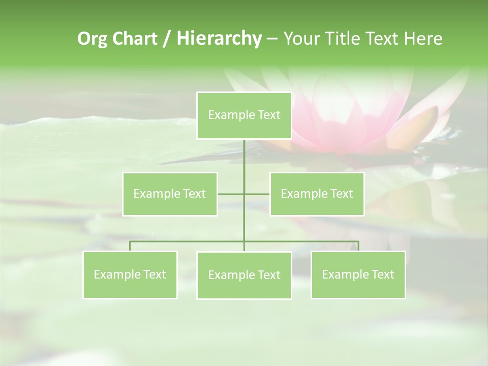 Leaf Aquatic Wallpaper PowerPoint Template