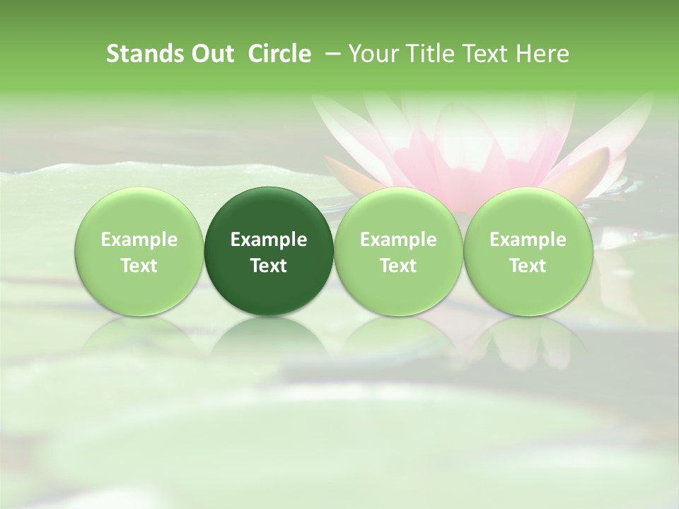 Leaf Aquatic Wallpaper PowerPoint Template