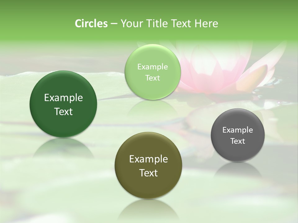 Leaf Aquatic Wallpaper PowerPoint Template