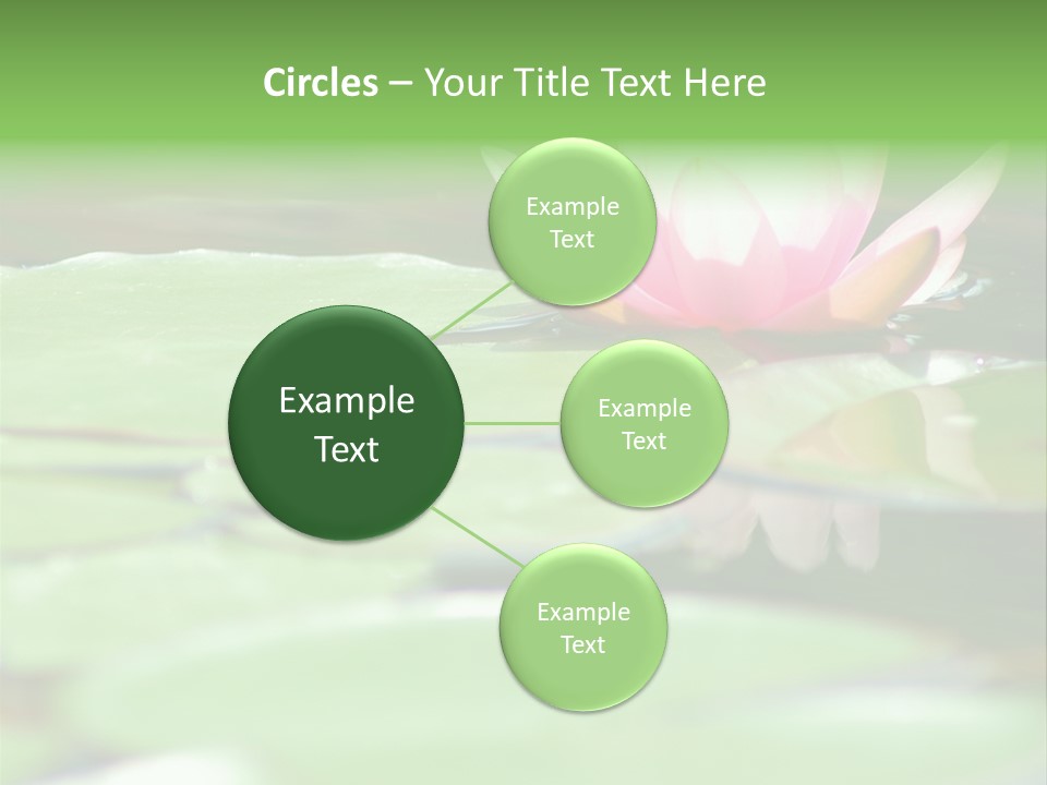 Leaf Aquatic Wallpaper PowerPoint Template