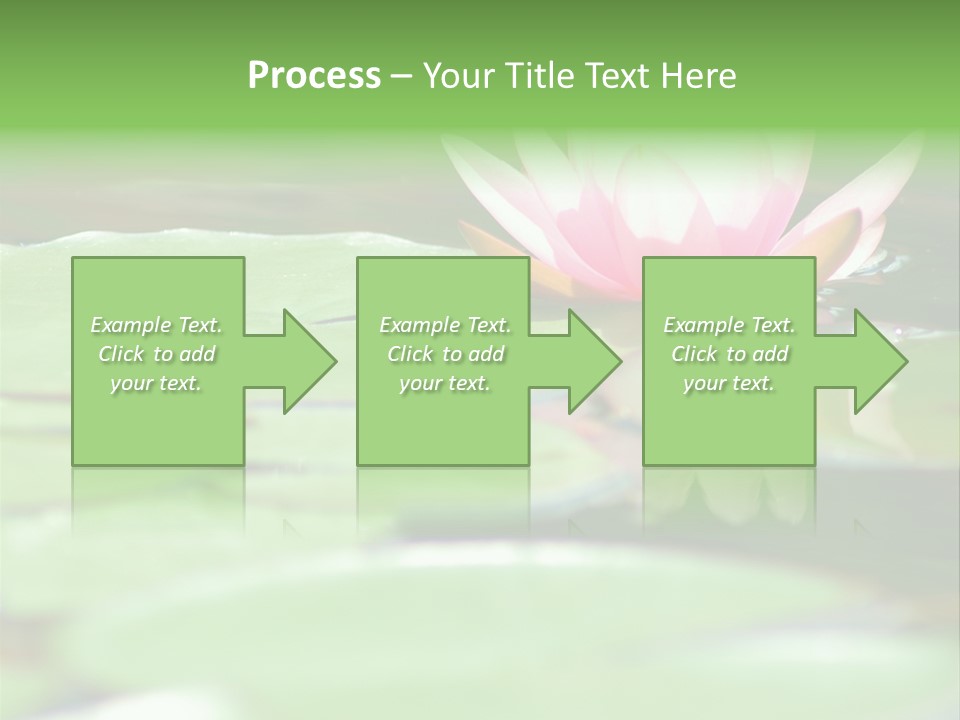 Leaf Aquatic Wallpaper PowerPoint Template