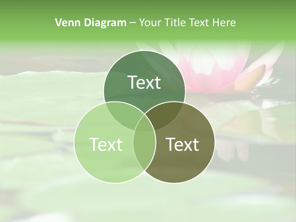 Leaf Aquatic Wallpaper PowerPoint Template