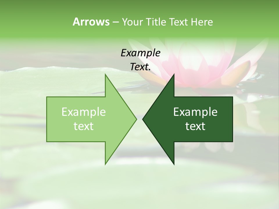 Leaf Aquatic Wallpaper PowerPoint Template