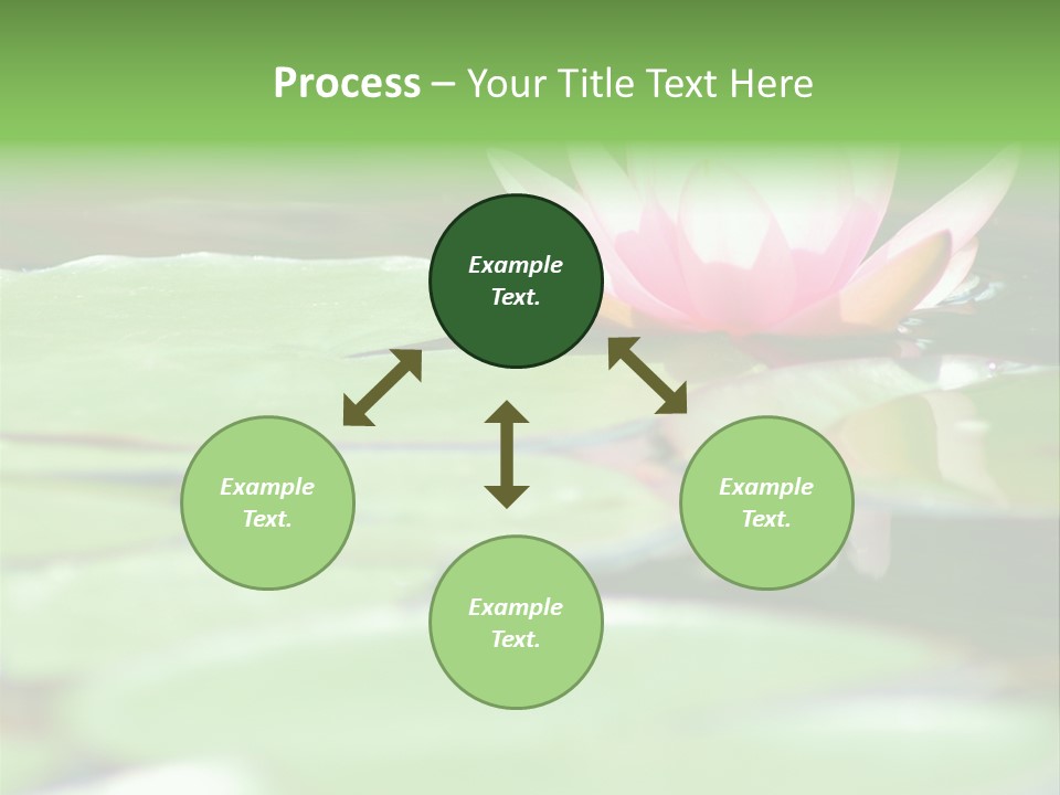 Leaf Aquatic Wallpaper PowerPoint Template