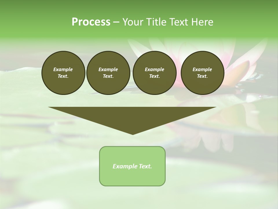 Leaf Aquatic Wallpaper PowerPoint Template