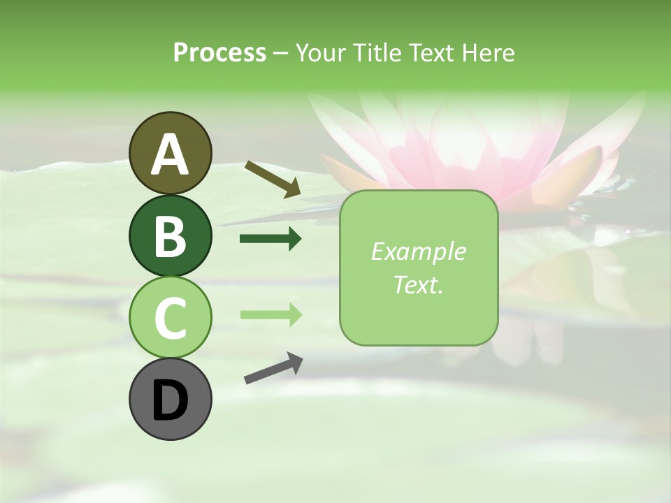 Leaf Aquatic Wallpaper PowerPoint Template