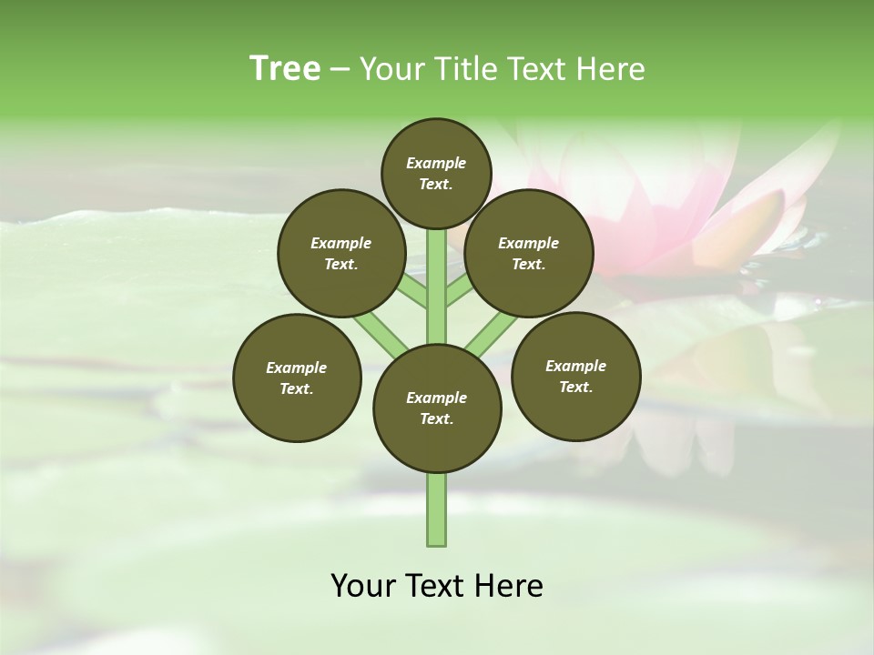 Leaf Aquatic Wallpaper PowerPoint Template