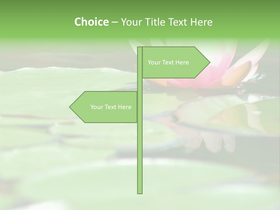 Leaf Aquatic Wallpaper PowerPoint Template