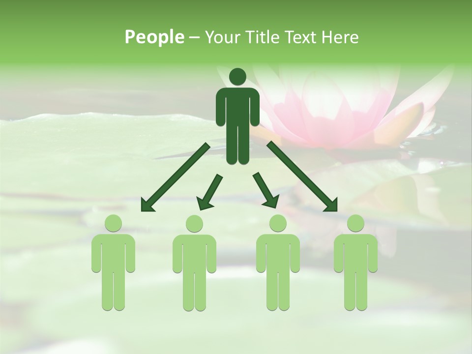 Leaf Aquatic Wallpaper PowerPoint Template