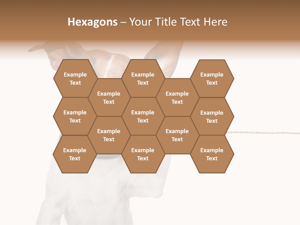 Can Cute Chat PowerPoint Template