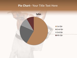 Can Cute Chat PowerPoint Template