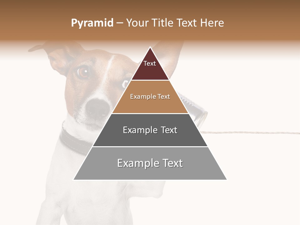 Can Cute Chat PowerPoint Template