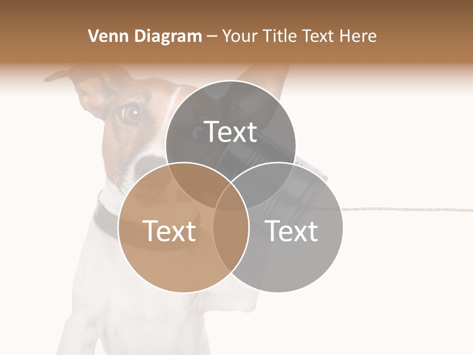 Can Cute Chat PowerPoint Template