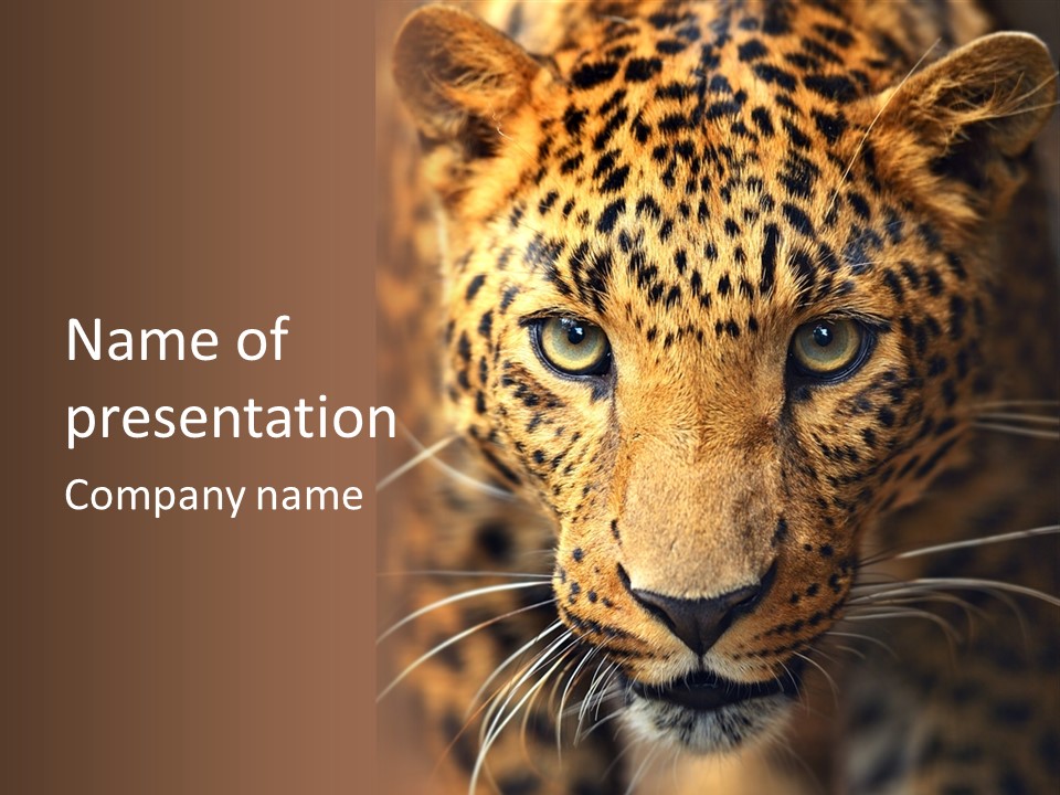 Wildlife Eye Hunter PowerPoint Template