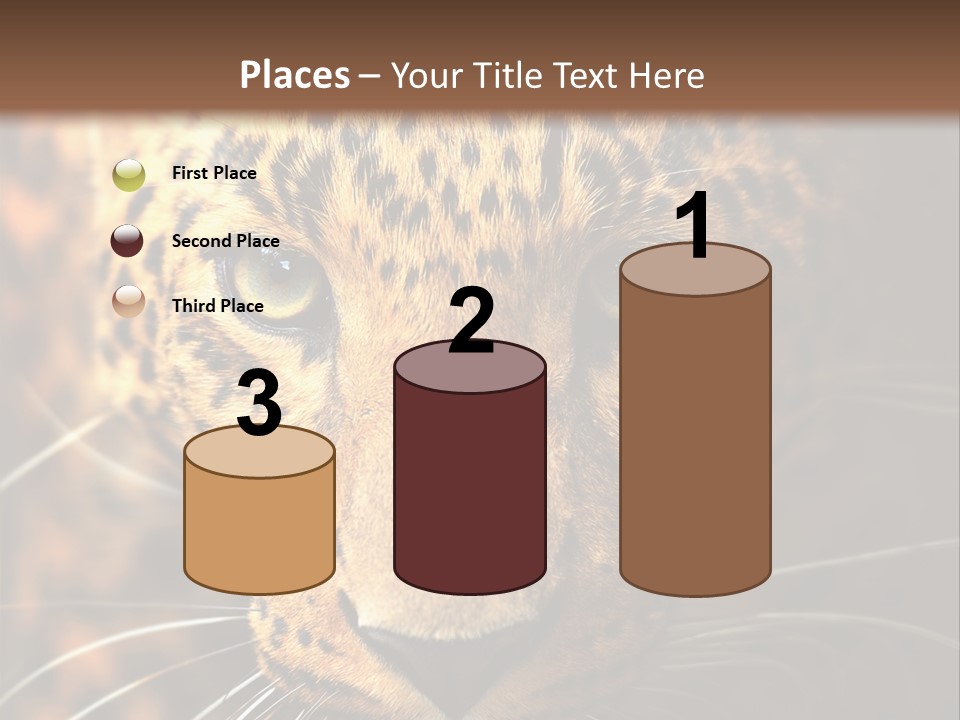 Wildlife Eye Hunter PowerPoint Template