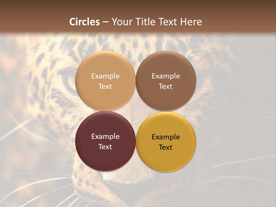 Wildlife Eye Hunter PowerPoint Template