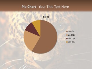 Wildlife Eye Hunter PowerPoint Template