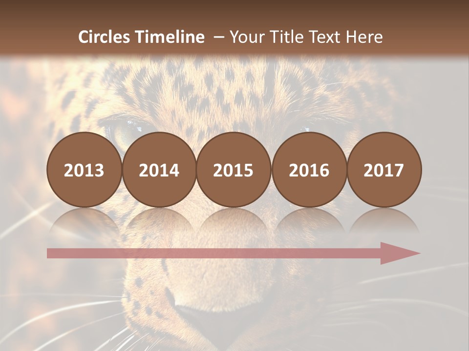Wildlife Eye Hunter PowerPoint Template