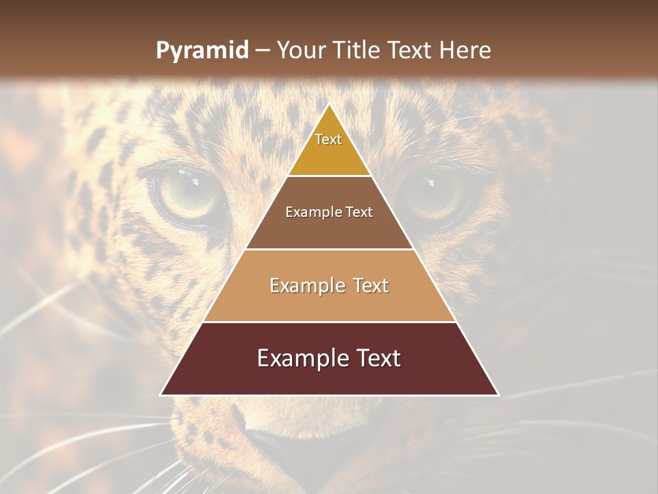 Wildlife Eye Hunter PowerPoint Template