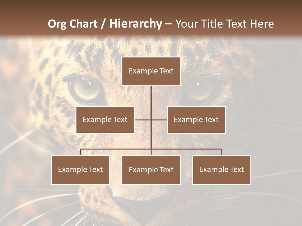 Wildlife Eye Hunter PowerPoint Template