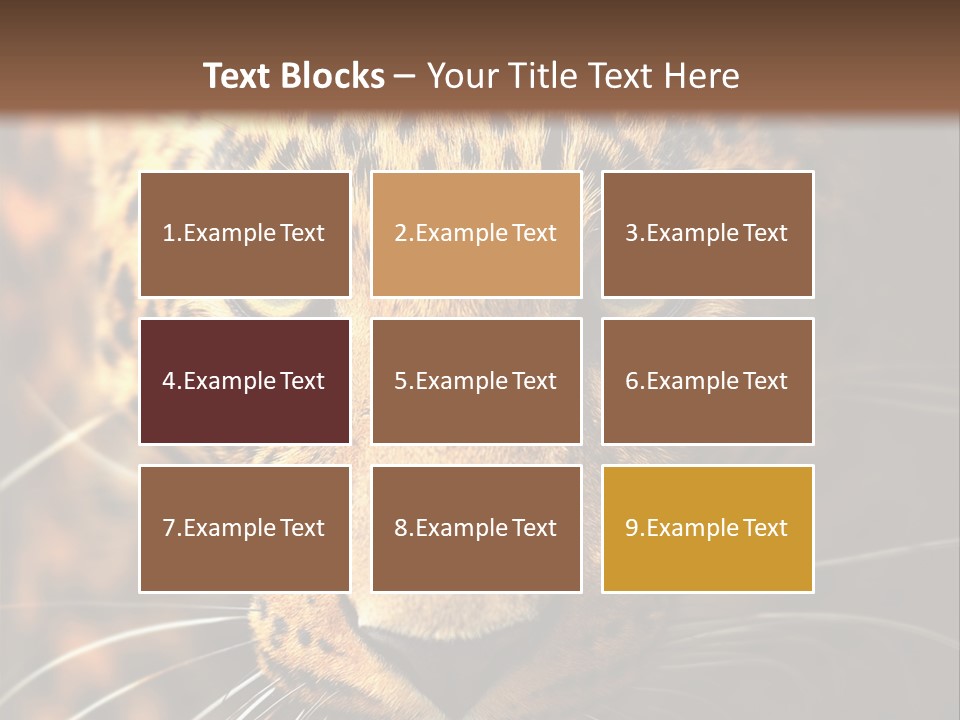 Wildlife Eye Hunter PowerPoint Template